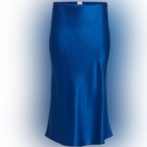 Aritzia/Wilfred ambience silk skirt